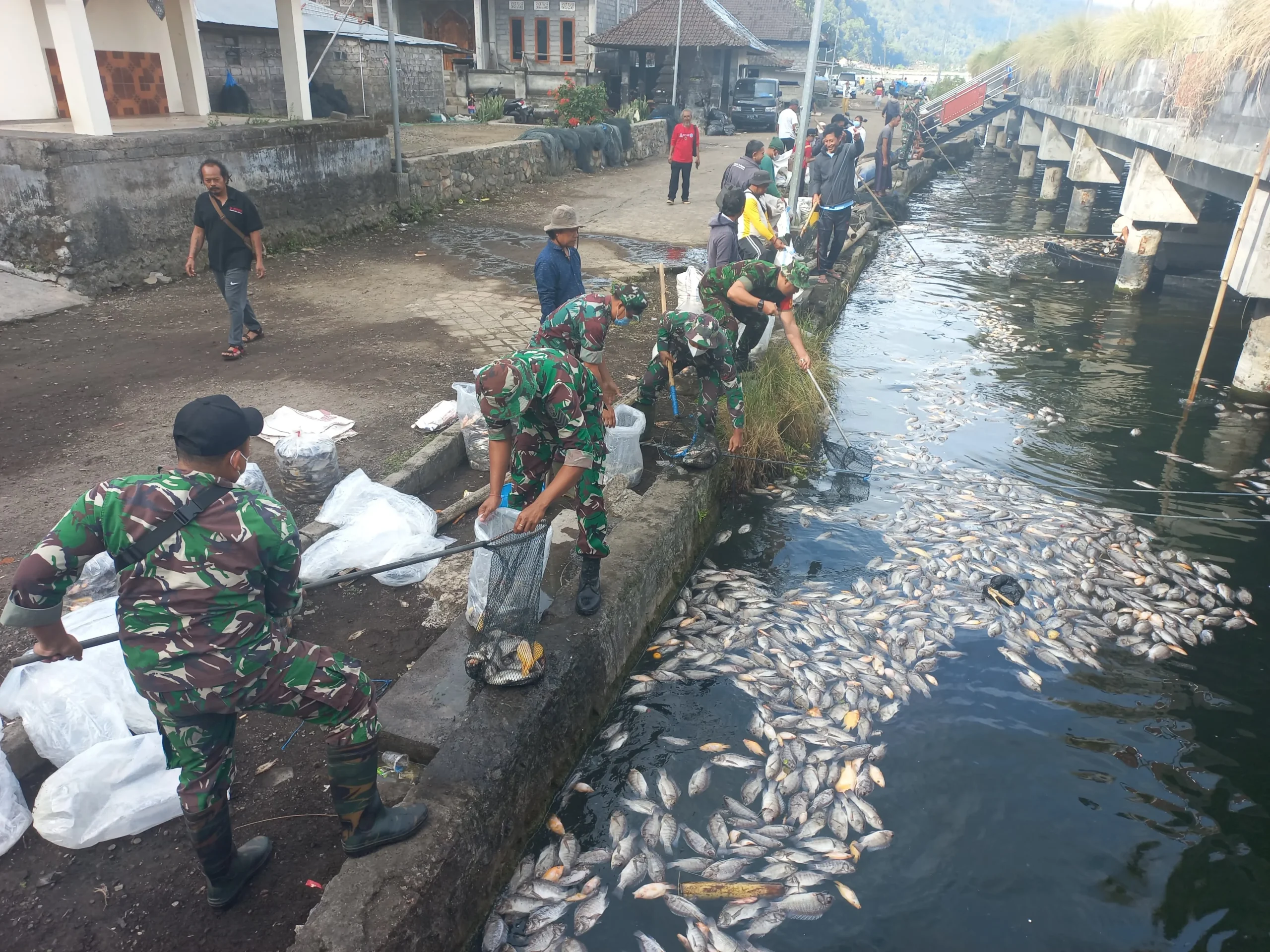 Kondisi Air Danau Batur Mulai Membaik, Namun Kematian Ikan Masih Terus Terjadi