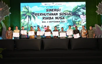 KuPS dan Perhutanan Sosial: Membuka Peluang Baru