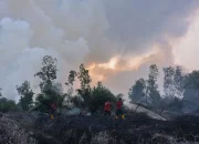 Mamuju Menghadapi Tantangan: Dari Kebakaran Hutan hingga Prakiraan Cuaca