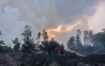 Mamuju Menghadapi Tantangan: Dari Kebakaran Hutan hingga Prakiraan Cuaca