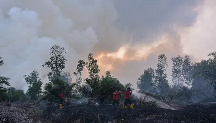 Mamuju Menghadapi Tantangan: Dari Kebakaran Hutan hingga Prakiraan Cuaca