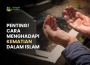 Menghadapi Sunset: Antara Kematian, Kecelakaan, dan Kembalinya Bintang TV