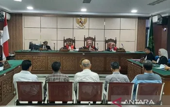 Nico O'Reilly dan Kasus Tacloban: Antara Hukum dan Keadilan
