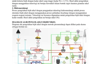 Nikel: Dari Teknologi Maju Hingga Pemanfaatan Sumber Daya Alam