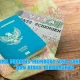 Panduan Lengkap Mengenal Visa: Cara Mendapatkan, Biaya, dan Destinasi Bebas Visa