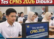 Rini Widyantini: Pendaftaran CPNS 2026 Belum Dibuka, ASN Diminta Tetap Melayani