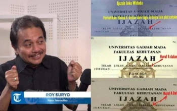 Roy Suryo Hadapi Praperadilan, Jokowi Siap Hadir dengan Ijazah Asli
