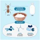 Serangga Pembawa Kejutan: Ants yang Membuat Yogurt dan Mengubah Hidup