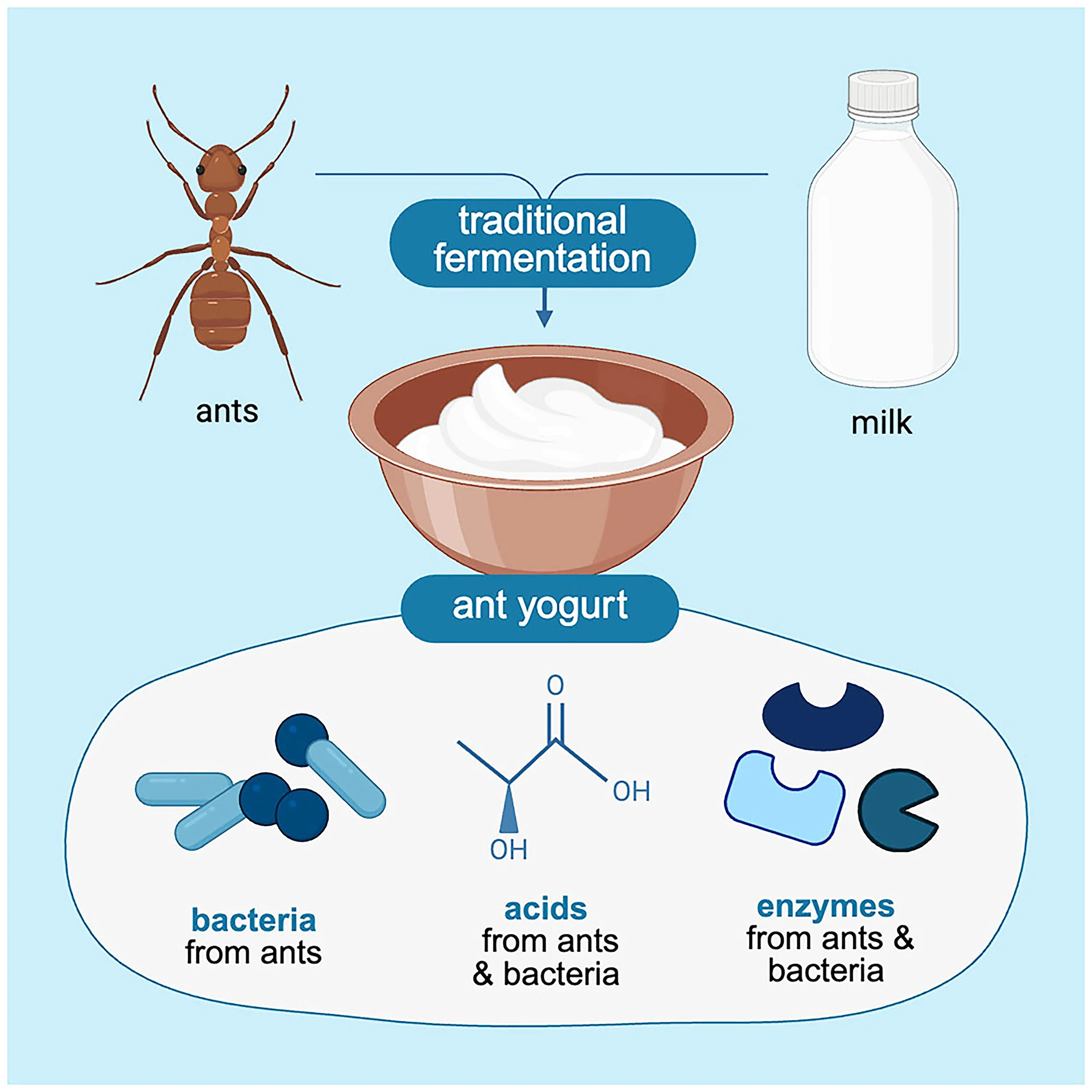 Serangga Pembawa Kejutan: Ants yang Membuat Yogurt dan Mengubah Hidup