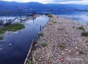 Suhu Ekstrem di Jawa: Dari Kematian Massal Ikan hingga Kulit Kering