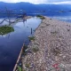Suhu Ekstrem di Jawa: Dari Kematian Massal Ikan hingga Kulit Kering