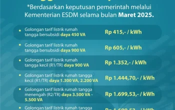 Tarif Listrik dan Pemadaman: Apa yang Terjadi di Balik Layanan Listrik di Indonesia?