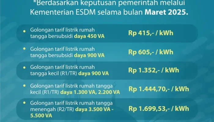 Tarif Listrik dan Pemadaman: Apa yang Terjadi di Balik Layanan Listrik di Indonesia?