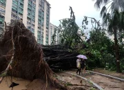 Typhoon Noul Menghantam Hong Kong: Kerusakan Parah dan Upaya Pemulihan