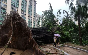 Typhoon Noul Menghantam Hong Kong: Kerusakan Parah dan Upaya Pemulihan