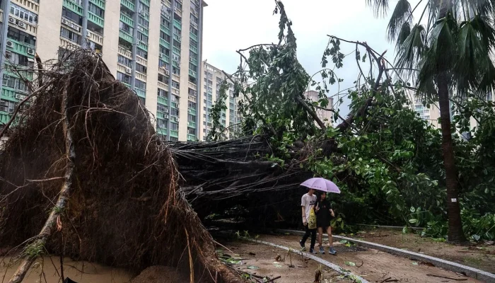 Typhoon Noul Menghantam Hong Kong: Kerusakan Parah dan Upaya Pemulihan