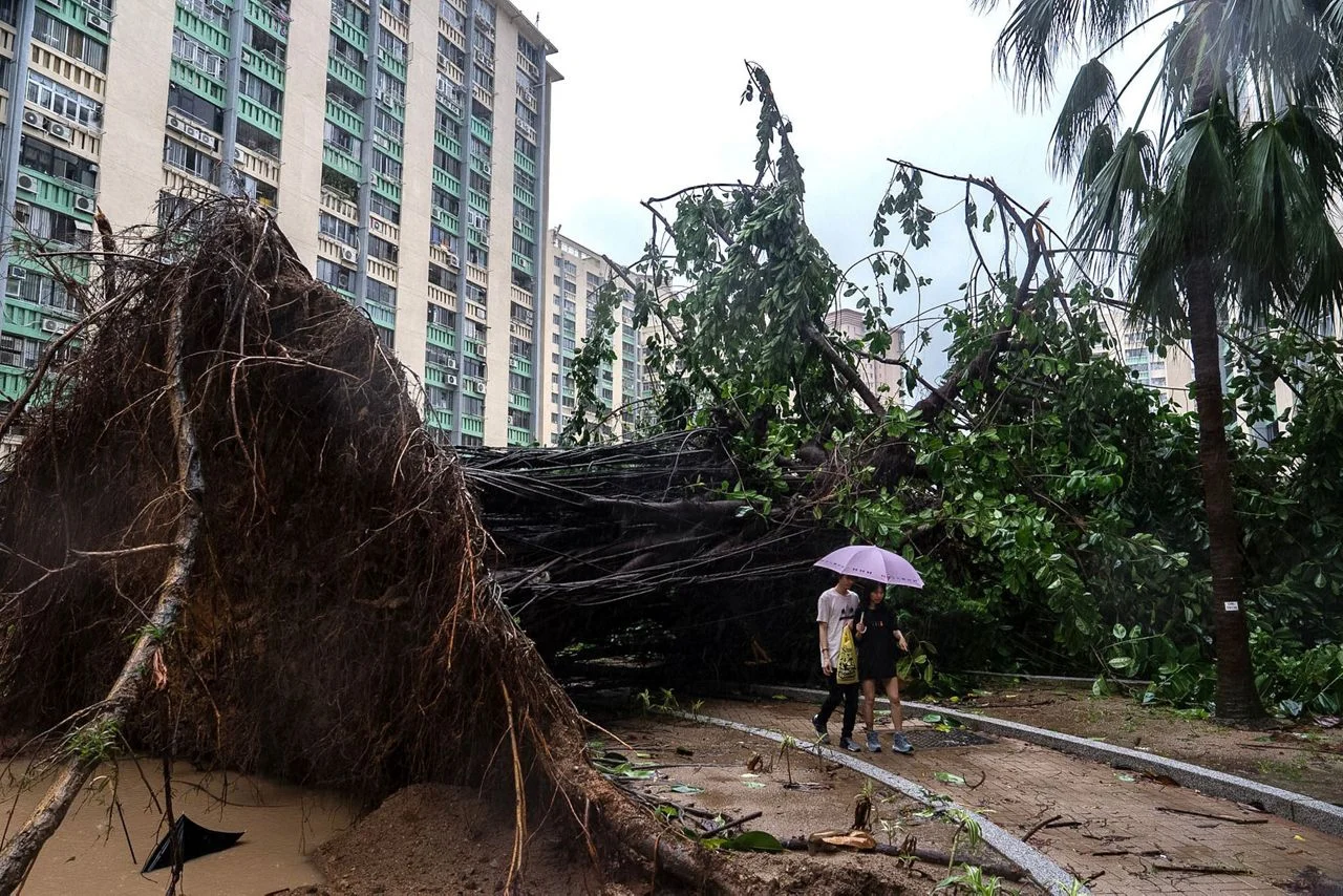 Typhoon Noul Menghantam Hong Kong: Kerusakan Parah dan Upaya Pemulihan