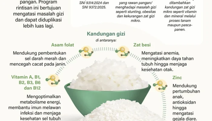 Bapanas Cabut Izin Beras Fortifikasi yang Tidak Memenuhi Standar