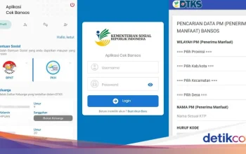 Cara Cek Bansos Kemensos 2026 Pakai NIK KTP, Cepat & Tanpa Login