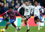 Fulham dan Crystal Palace Siap Bersaing di Premier League dengan Manajer Baru