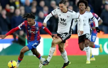 Fulham dan Crystal Palace Siap Bersaing di Premier League dengan Manajer Baru