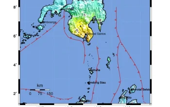 Gempa Bumi 7.7 Magnitudo di NTT: Korban Tewas, Kerusakan, dan Tsunami
