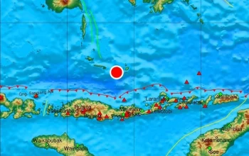Gempa Bumi M 7.7 Guncang Flores, NTT: 8 Orang Meninggal, Ratusan Mengungsi