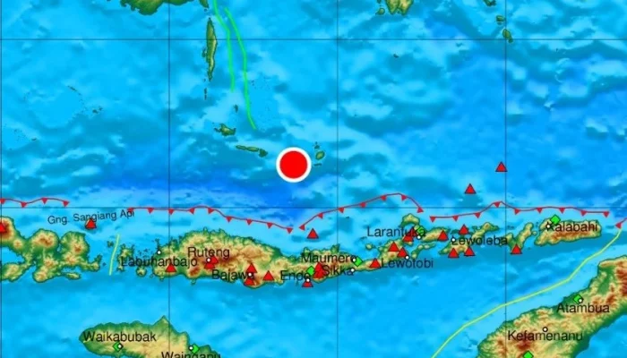 Gempa Bumi M 7.7 Guncang Flores, NTT: 8 Orang Meninggal, Ratusan Mengungsi
