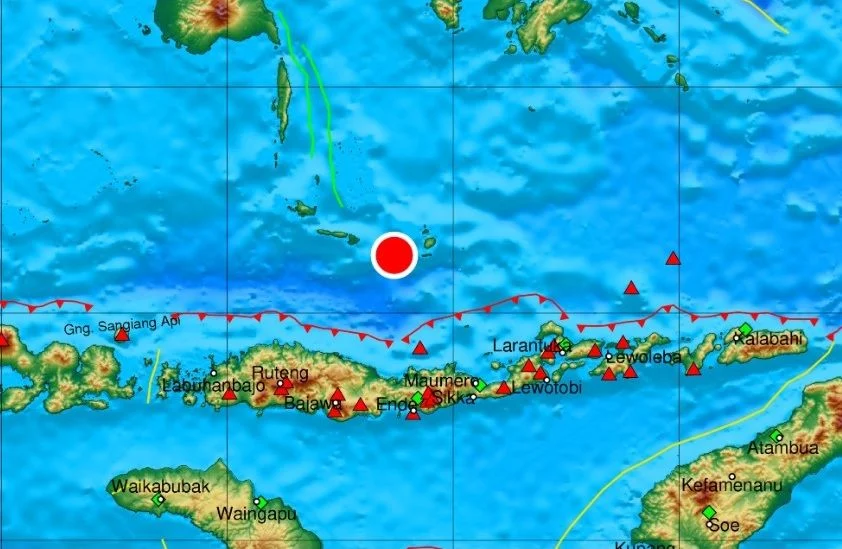 Gempa Bumi M 7.7 Guncang Flores, NTT: 8 Orang Meninggal, Ratusan Mengungsi