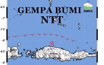 Gempa Bumi M 7.7 Mengguncang NTT, Menewaskan 47 Orang dan Mengakibatkan Kerusakan Masif