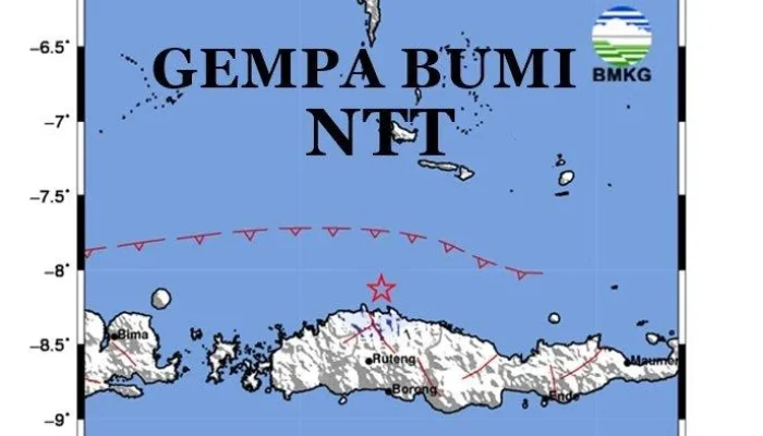 Gempa Bumi M 7.7 Mengguncang NTT, Menewaskan 47 Orang dan Mengakibatkan Kerusakan Masif