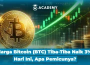 Harga Bitcoin Meningkat, Apa yang Mendorong Kenaikan Ini?