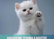 Hari Kucing Sedunia: Mengenal Lebih Dekat tentang Kucing dan Upaya Konservasi