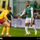 Hibernian Siap Menghadapi Motherwell di Liga Skotlandia
