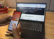 Imbal Hasil Tinggi, Investasi Asing ke Pindar Lokal Melonjak