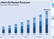 Indonesia's Palm Oil Industry Sees Price Increases Amid Global Market Trends