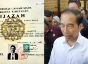 Jokowi Siap Hadir di Persidangan Praperadilan Dokter Tifa, Ijazah Palsu Jadi Sorotan