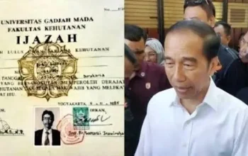 Jokowi Siap Hadir di Persidangan Praperadilan Dokter Tifa, Ijazah Palsu Jadi Sorotan