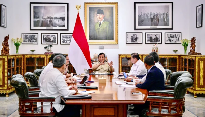 Kabinet Bayangan Indonesia: Mengawal Kebijakan Pemerintah dengan Check and Balances