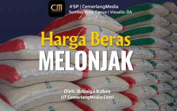 Kabupaten Alor: Harga Beras Melonjak, Mahasiswa Undip Dapat Beasiswa ke Inggris
