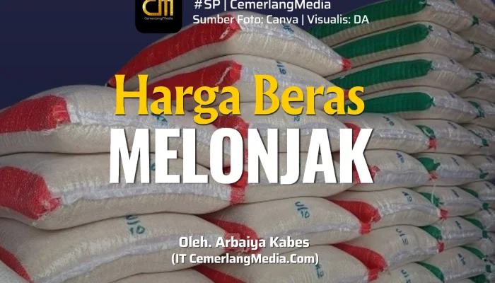 Kabupaten Alor: Harga Beras Melonjak, Mahasiswa Undip Dapat Beasiswa ke Inggris