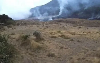 Kebakaran di Gunung Gede Pangrango Dipadamkan, Pendakian Ditutup Sementara