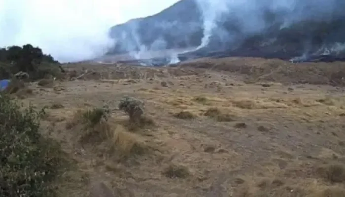 Kebakaran di Gunung Gede Pangrango Dipadamkan, Pendakian Ditutup Sementara