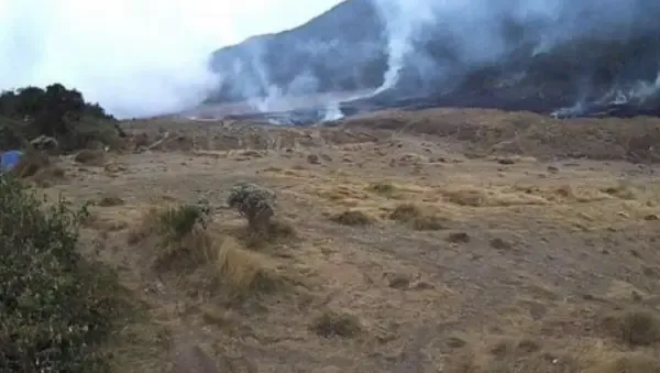 Kebakaran di Gunung Gede Pangrango Dipadamkan, Pendakian Ditutup Sementara