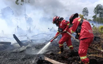 Kebakaran di New Forest dan M55: Dua Insiden Berbeda yang Mengganggu Aktivitas Masyarakat