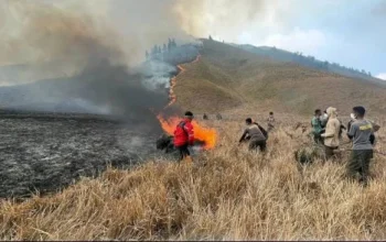 Kebakaran Gunung Bromo Meluas Hingga 520 Hektare, Fenomena Frost Perparah Situasi