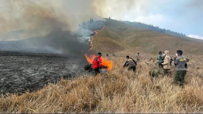 Kebakaran Gunung Bromo Meluas Hingga 520 Hektare, Fenomena Frost Perparah Situasi