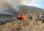 Kebakaran Gunung Bromo: Upaya Pemadaman dan Tantangan yang Dihadapi