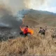 Kebakaran Gunung Bromo: Upaya Pemadaman dan Tantangan yang Dihadapi