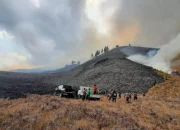 Kebakaran Gunung Bromo: Upaya Pemadaman Diperluas, 2 Titik Api Masih Aktif